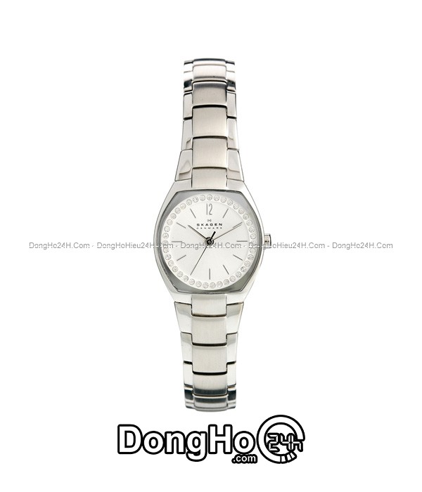 Đồng hồ Đồng hồ Skagen nữ Quartz SKW2110
